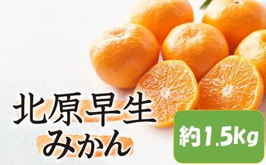 ZF172.【予約受付・期間限定商品】北原早生みかん（1.5kg程度）.2026年10月～11月配送