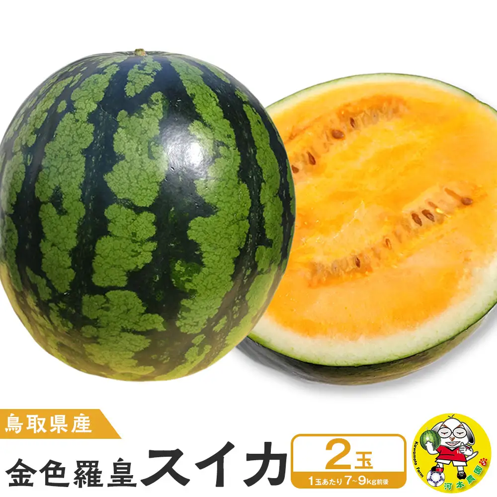 先行予約】鳥取県北栄町産 金色羅皇スイカ(2玉セット)1玉あたり7-9