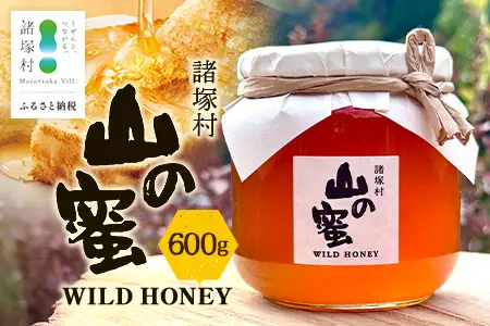はちみつ 山の蜜 600g×1本 冷蔵｜国産 蜂蜜 百花蜜 ニホンミツバチ 希少 自然養蜂 瓶 もろっこはうす 宮崎県 諸塚村 MO-03