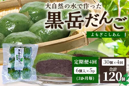 【定期便3ヶ月毎4回】だんご 黒岳だんご（6個入×5P）×4回［3か月毎配送］計120個 冷凍｜団子 和菓子 お菓子 あんこ こしあん よもぎ 米粉 手作り 個包装 大容量 もろっこはうす 宮崎県 諸塚村 MO-07