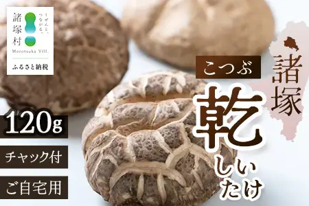 【世界初CoC認証取得！】宮崎県諸塚村産 乾しいたけ こつぶ 40g×3P 計120g 常温｜干ししいたけ どんこ 椎茸 冬菇 一口サイズ 酢漬け 手まり寿司 天ぷら 原木栽培 家庭用 もろっこはうす MO-24