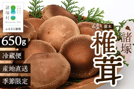 【先行予約】宮崎県諸塚村産 原木生椎茸 約650g［2026年9月～11月ごろにお届け］冷蔵｜しいたけ 生シイタケ きのこ キノコ 原木しいたけ 産地直送 秋の味覚 もろっこはうす MO-30
