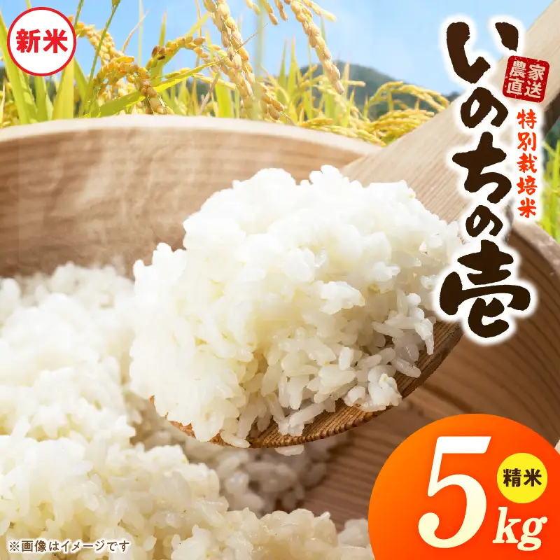 【R8年産新米 先行受付】特別栽培米「いのちの壱」（5kg）＜農家直送＞ ［208K01］ 希少米 5kg 米 新米 精米 白米 ご飯 国産 産地直送 甘い 粘り強い もちもち お取り寄せ こだわり米 愛知県 小牧市 送料無料
