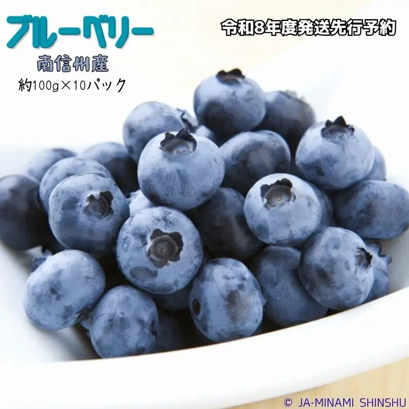 J30【令和8年度発送先行予約品】ブルーベリー 秀3L 100gパック×10入り