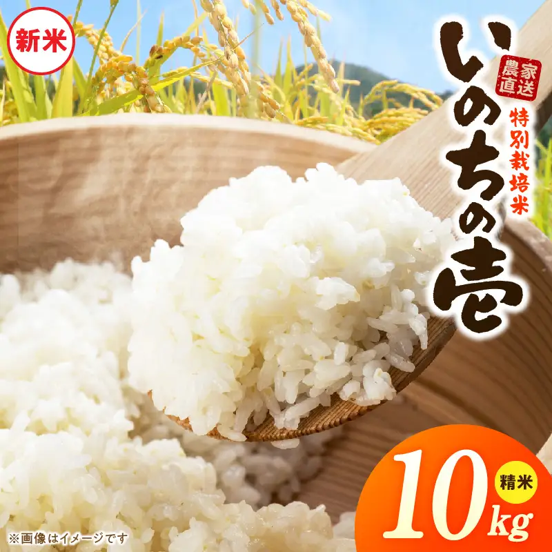 【R8年産新米 先行受付】特別栽培米「いのちの壱」（10kg）＜農家直送＞ ［208K02］ 希少米 10kg 米 新米 精米 白米 ご飯 国産 産地直送 甘い 粘り強い もちもち お取り寄せ こだわり米 愛知県 小牧市 送料無料