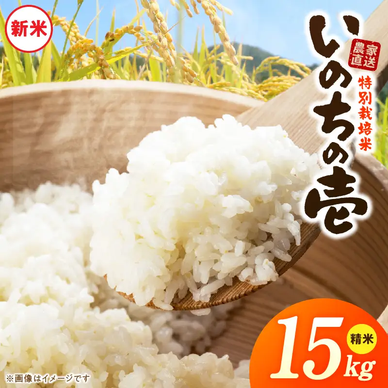 【R8年産新米 先行受付】特別栽培米「いのちの壱」（15kg）＜農家直送＞ ［208K03］ 希少米 15kg 米 新米 精米 白米 ご飯 国産 産地直送 甘い 粘り強い もちもち お取り寄せ こだわり米 愛知県 小牧市 送料無料