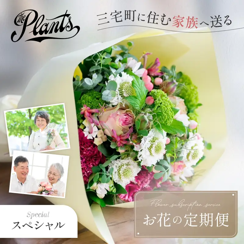 花 ふるさと定期便 3回 お届け 三宅町に住む家族へ 花束 ギフト The Plants:スペシャル