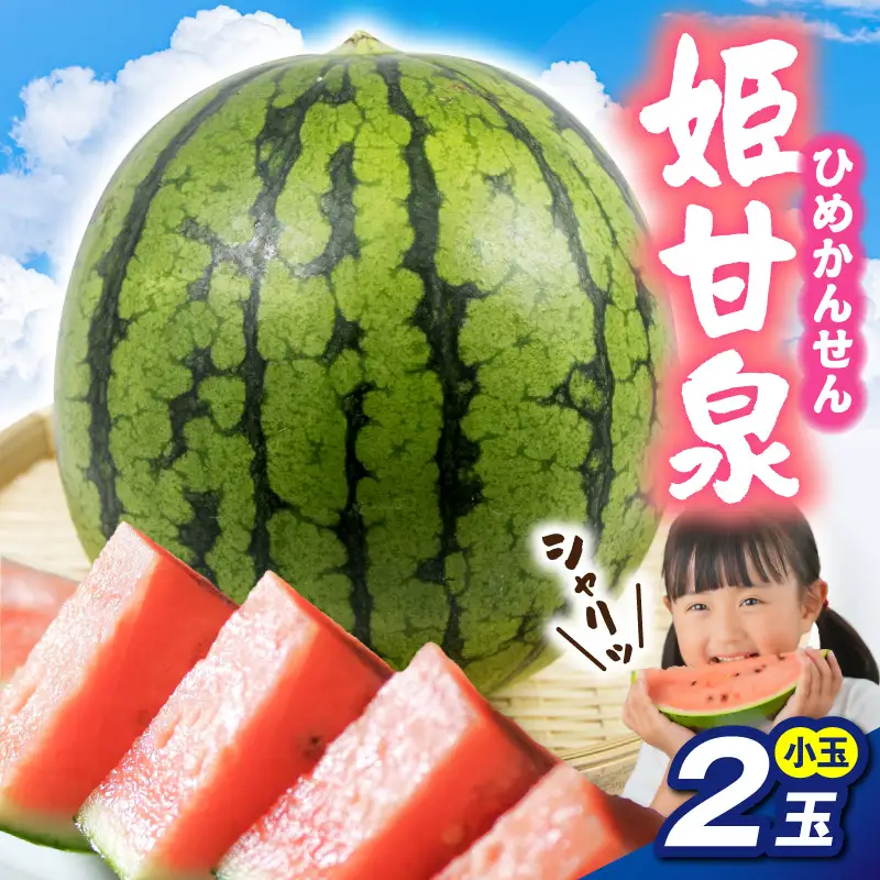 【先行受付】 小玉すいか 姫甘泉 2玉 【7月下旬以降順次発送】 すいか 青森県 五所川原市