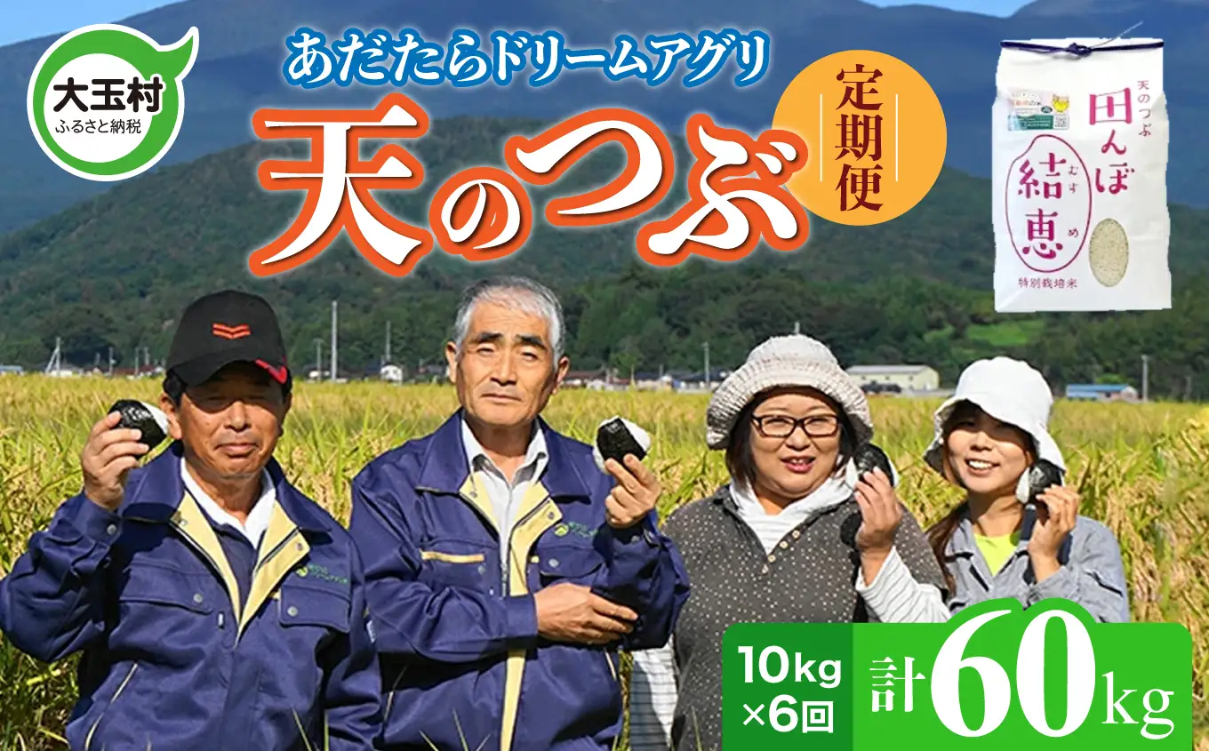 特別栽培米 60kg（毎月10kg×6回） 白米 天のつぶ 特別栽培米 精米