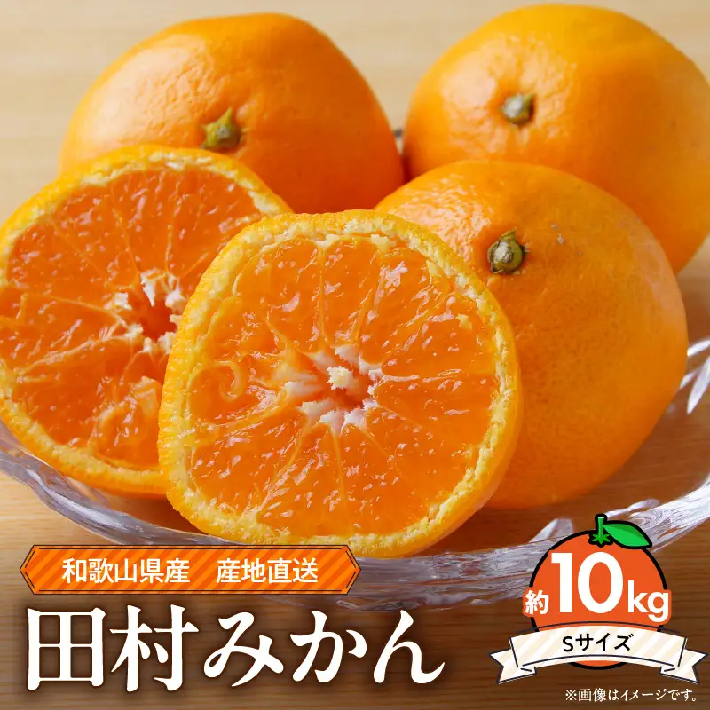 ZE6492_和歌山 湯浅町産 田村みかん 約10kg【Sサイズ】