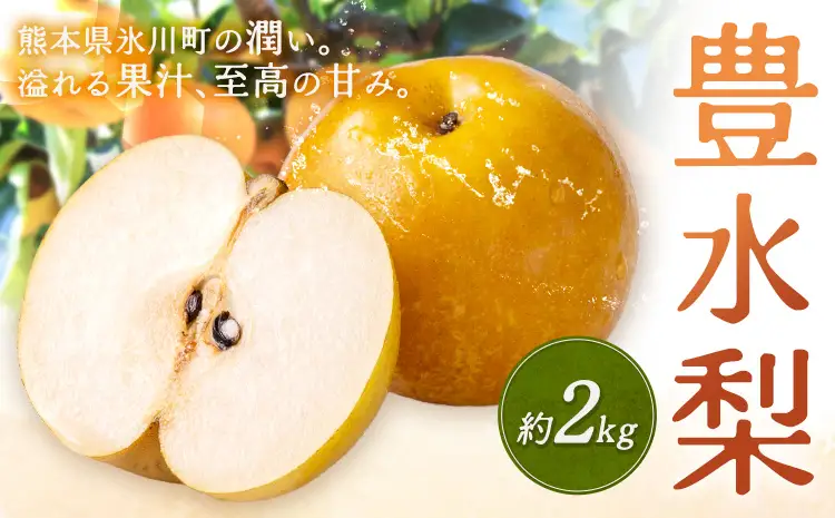 数量限定 先行予約 豊水梨 約2kg 熊本県産 梨