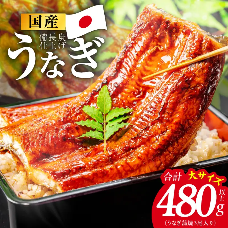 【特別規格】国産うなぎ蒲焼 480g以上（大サイズ3尾）