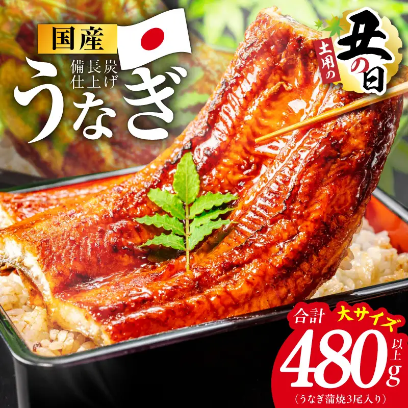 【土用の丑の日】国産うなぎ蒲焼 480g以上（大サイズ3尾）