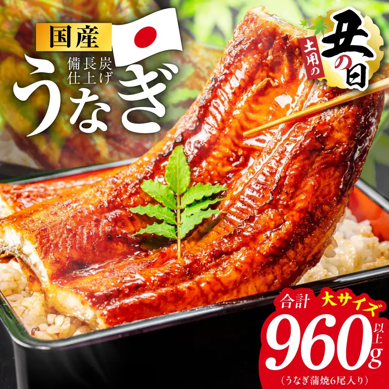 【土用の丑の日】国産うなぎ蒲焼 960g以上（大サイズ6尾）