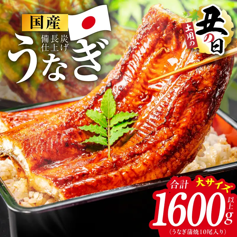 【土用の丑の日】国産うなぎ蒲焼 1600g以上（大サイズ10尾）