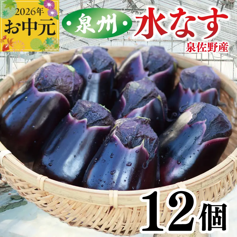 【お中元対応】泉州 泉佐野市産 ハウス水なす 12個