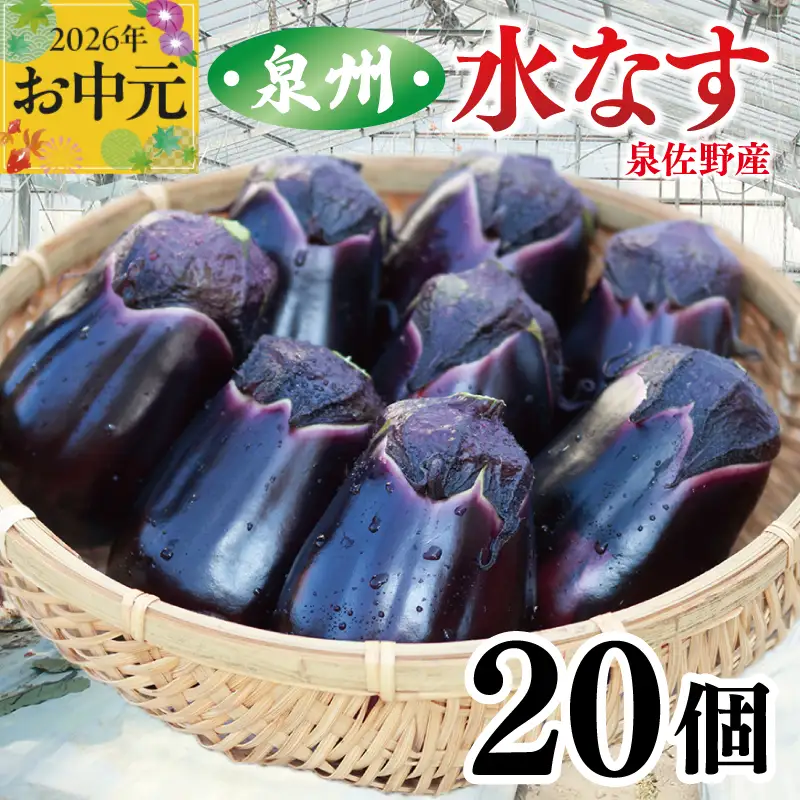 【お中元対応】泉州 泉佐野市産 ハウス水なす 20個