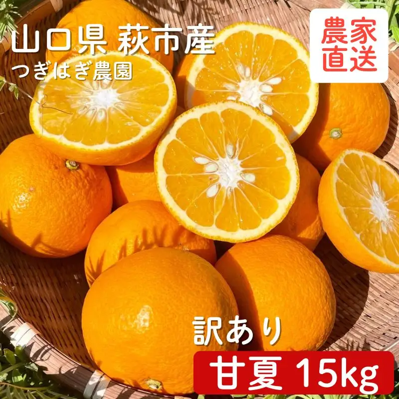 甘夏 15kgと『つぎはぎ農園日記』セット