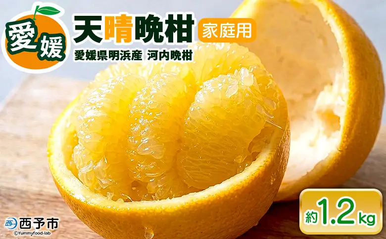 先行予約受付＜天晴晩柑（河内晩柑）家庭用 約1.2kg＞『2026年4月上旬～5月下旬迄に順次出荷予定』訳アリ 訳あり 果物 柑橘 みかん 和製 グレープフルーツ 食べて応援 特産品 株式会社笑丸 愛媛県明浜産 愛媛県 西予市【常温】AAN0089