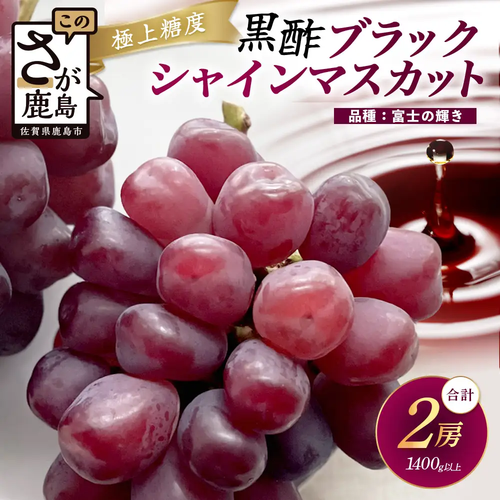 ブラックシャインマスカット 富士の輝き 2房 1400g以上 【先行予約】【2026年8月下旬〜9月下旬発送予定】希少 高糖度 ブラック シャインマスカット マスカット フルーツ 果物 ぶどう 新鮮 生産者直送 葡萄 佐賀県 鹿島市 送料無料 D-300