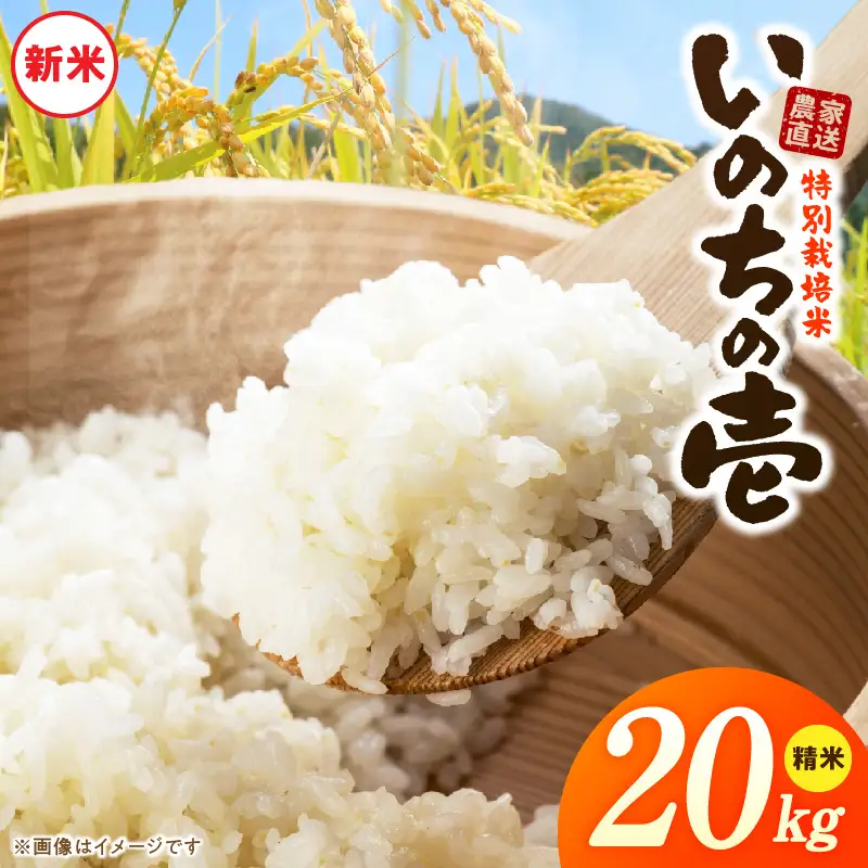 【R8年産新米 先行受付】特別栽培米「いのちの壱」（20kg）＜農家直送＞ ［208K04］ 希少米 20kg 米 新米 精米 白米 ご飯 国産 産地直送 甘い 粘り強い もちもち お取り寄せ こだわり米 愛知県 小牧市 送料無料