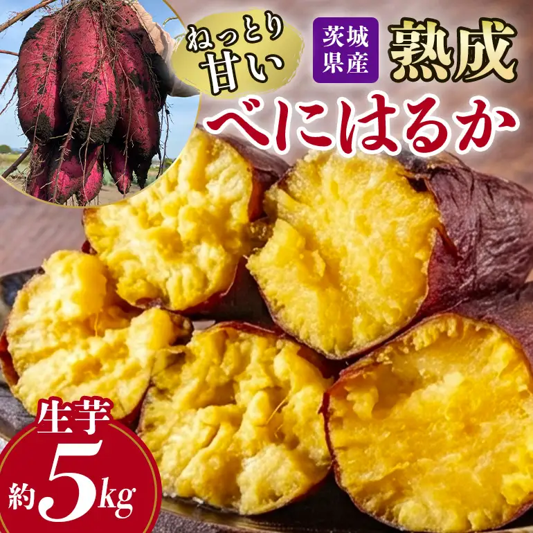 ねっとり甘い♪茨城県産熟成べにはるか 約5kg B15-009