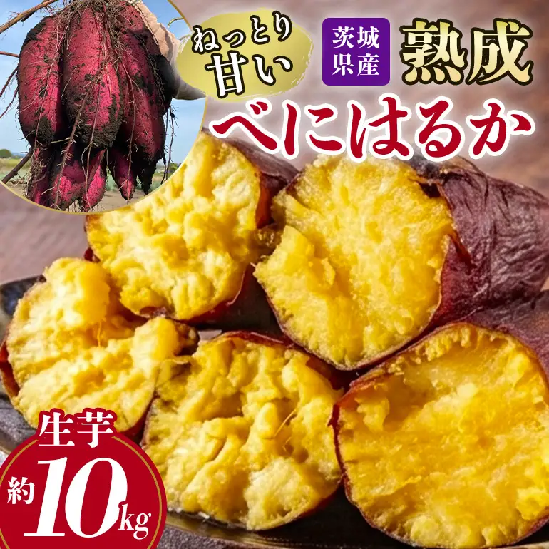 ねっとり甘い♪茨城県産熟成べにはるか 約10kg B15-010