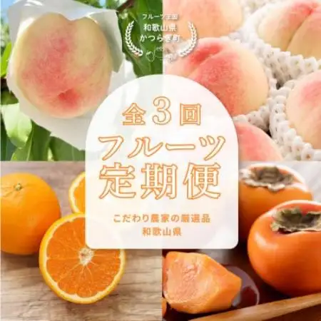 【発送月固定定期便】フルーツ定期便　品質に自信あり!道の駅よりこだわり農家厳選品!全3回【配送不可地域：離島】【4083384】
