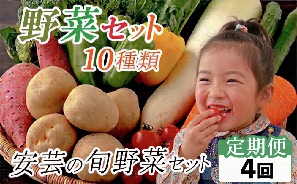 定期便/計4回 安芸野菜（10種）【野菜】