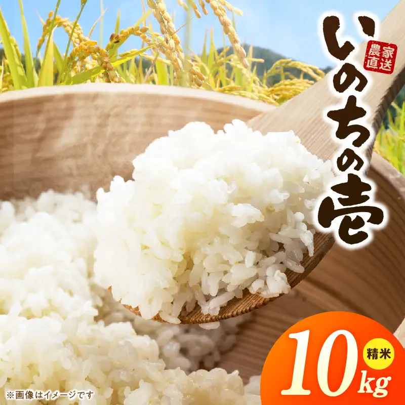 R7年産　「いのちの壱」（10kg）＜農家直送＞ ［208K10］ 希少米 10kg 米 精米 白米 ご飯 国産 産地直送 甘い 粘り強い もちもち お取り寄せ こだわり米 愛知県 小牧市 送料無料