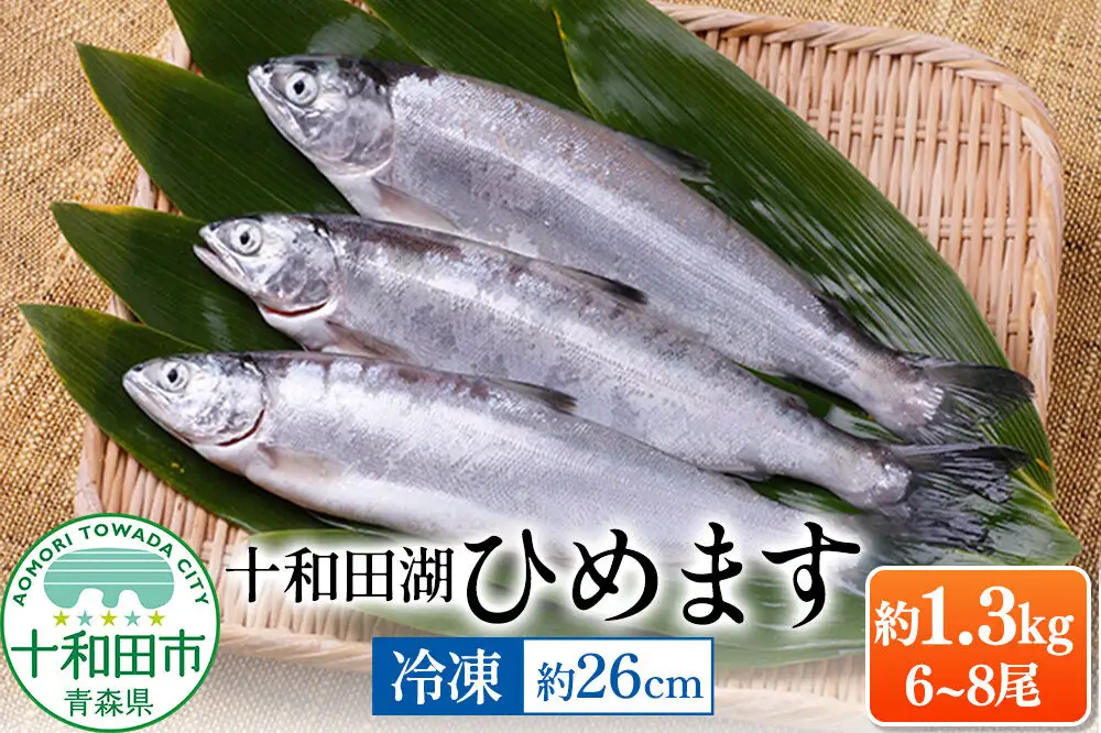 十和田湖ひめます（約26cm）6～8尾 約1.3kg 紅鮭 冷凍 