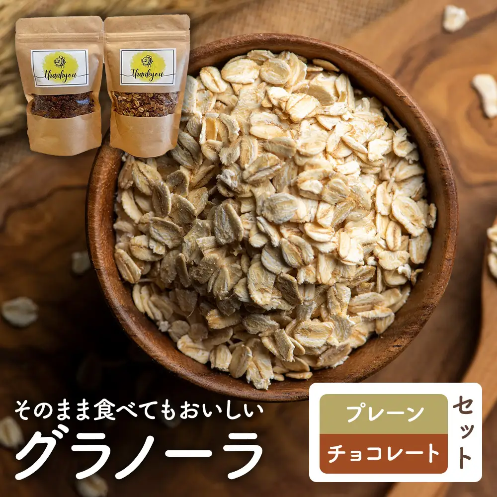 【Your,GURT&GRANOLA】グラノーラ プレーンとチョコレートのセット | グラノーラ シリアル 朝食 朝ごはん 食品 おやつ はちみつ チョコ チョコレート 食べ比べ 送料無料 岐阜県 瑞穂市