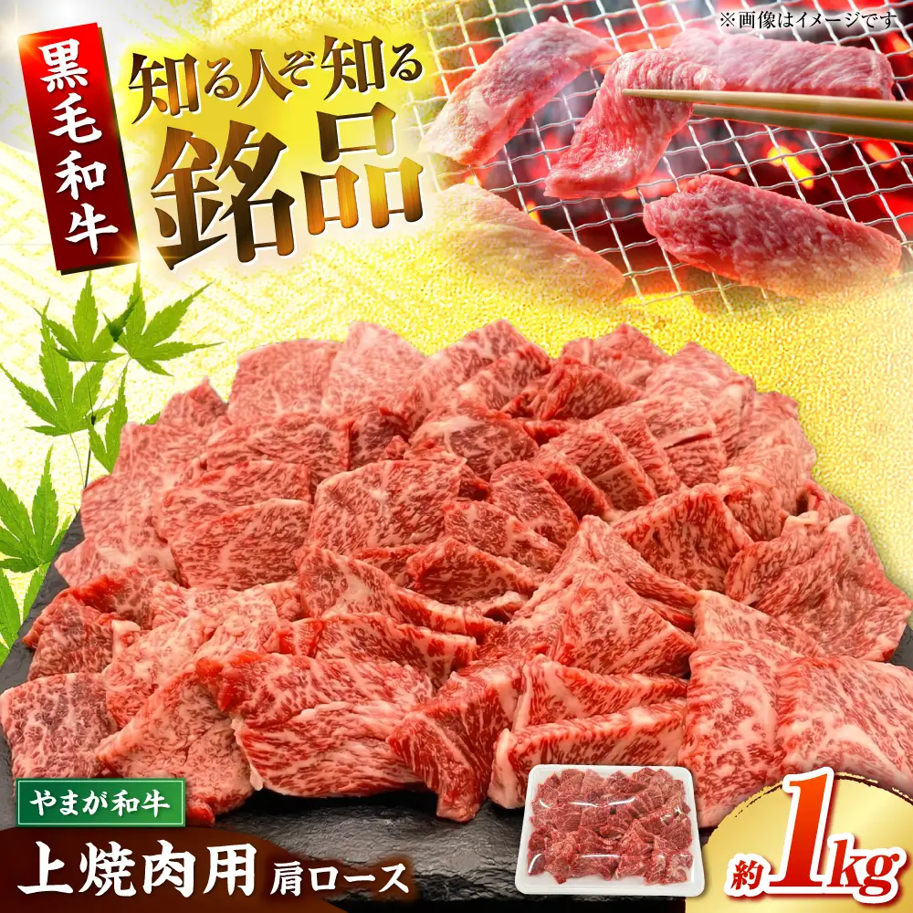 やまが和牛 上焼き肉用 1kg 黒毛和牛 和牛 牛肉 お肉 肉 焼肉 【鹿本農業協同組合】[ZAG016]