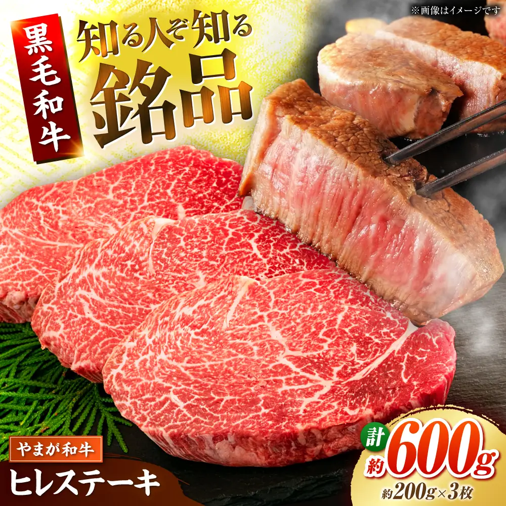 やまが和牛 ステーキ ヒレ 約200ｇ×3枚 黒毛和牛 和牛 牛肉 お肉 肉 【鹿本農業協同組合】[ZAG021]