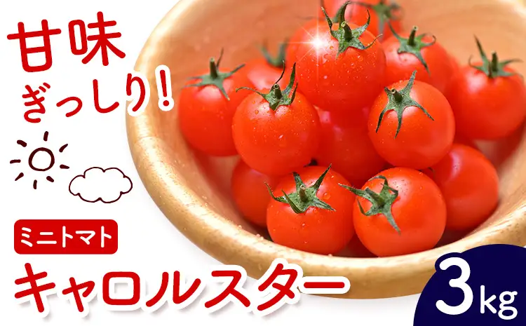 ミニトマト キャロルスター 約3kg ますだふぁーむ《7月上旬-11月末頃出荷》熊本県 南阿蘇村 キャロルスター 野菜 旬 夏野菜 トマト