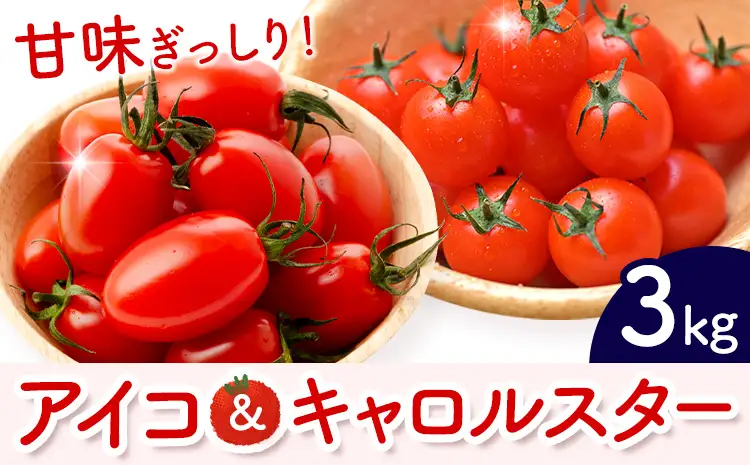 ミニトマト アイコ＆キャロルスター 約3kg ますだふぁーむ《7月上旬-11月末頃出荷》熊本県 南阿蘇村 アイコトマト キャロルスター 野菜 旬 夏野菜 トマト