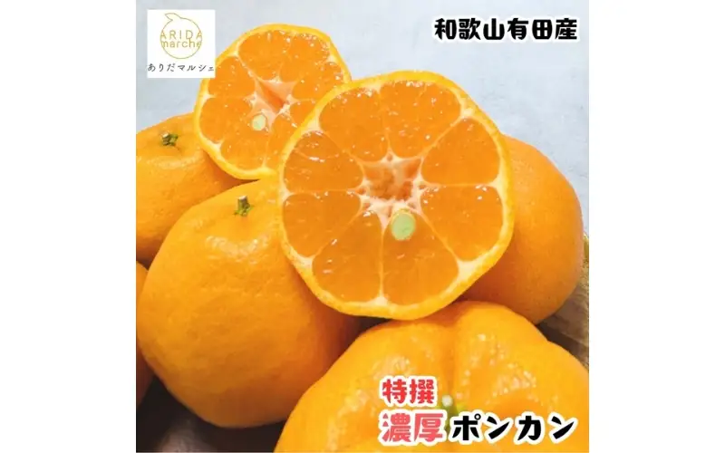 【先行予約】極甘 柑橘 特撰 濃厚 ポンカン 約3kg+200g(傷み補償分)※2027年1月上旬～3月上旬に順次発送 ※北海道・沖縄・その他離島地域は発送不可【ard243A】