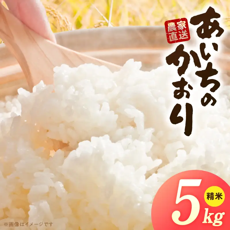R7年産　「あいちのかおり」（5kg）＜農家直送＞ ［208K13］ 5kg 米 精米 白米 ご飯 国産 産地直送 ふくよかな甘み ほどよい粘り お取り寄せ 愛知県 小牧市 送料無料