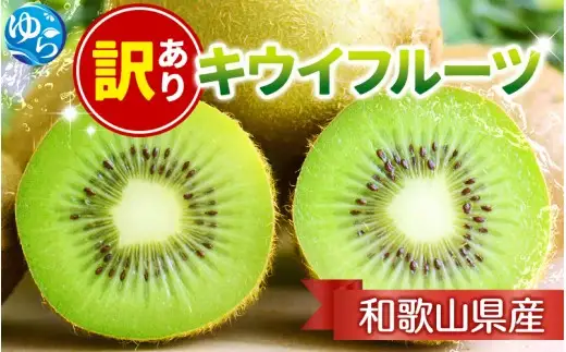 家庭用 キウイ フルーツ 5kg+250g（傷み補償分） / キウイフルーツ 訳あり 和歌山 ※2026年11月中旬～2027年4月下旬に順次発送 ※北海道・沖縄・離島への配送不可 【ikd505-c-5C】