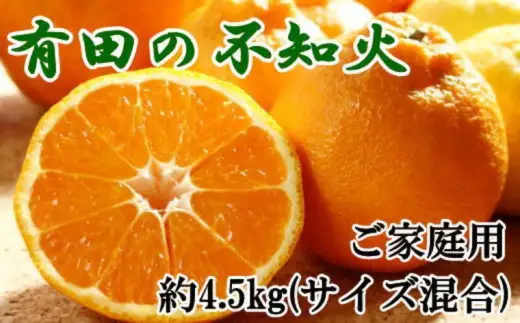 【濃厚】有田の不知火約4.5kgご家庭用向け（サイズ混合）※2027年2月下旬～2027年3月下旬頃発送予定 / みかん 有田みかん 柑橘 不知火 和歌山 ミカン オレンジ【tec010-c-4d5】 
