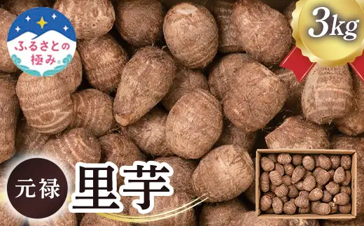 【ふるさとの極み】山形県産 元禄里芋3kg F2Y-6496