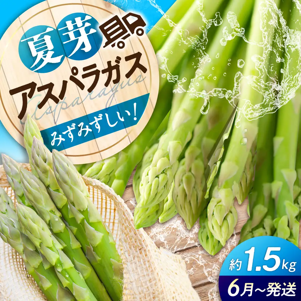 【先行予約】朝採れ アスパラ ＜夏芽＞ 約1.5㎏ [APAU004] アスパラガス
