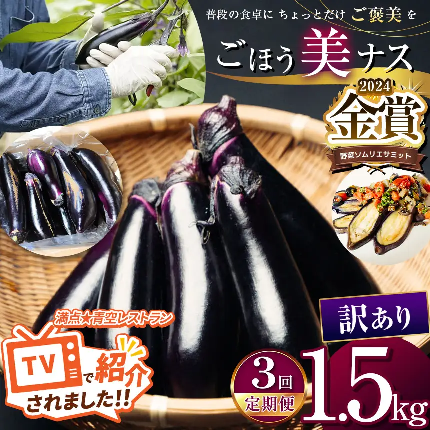 【定期便3回】農家さん応援！訳ありごほう美ナス 約1.5kg