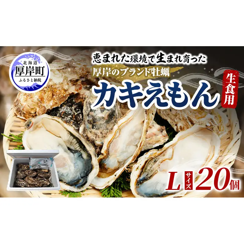 牡蠣 厚岸のブランド牡蠣 生食用 カキえもん Lサイズ 20個  [ 魚貝類 海鮮 海のミルク 国産 生食用殻付き牡蠣 まろやか クリーミー 食べやすい品種 海の香り 牡蠣の酒蒸し 焼き牡蠣  ]