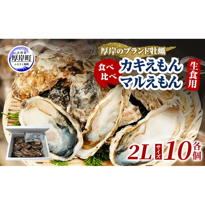 牡蠣 厚岸のブランド牡蠣 食べ比べ 生食用 カキえもん マルえもん 2Lサイズ 各10個  [ 魚貝類 海鮮 海のミルク 国産 生食用殻付き牡蠣 まろやか クリーミー 食べやすい品種 海の香り 牡蠣の酒蒸し 焼き牡蠣  ]