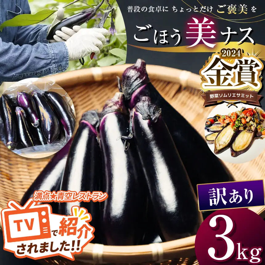 農家さん応援！訳ありごほう美ナス 約3kg