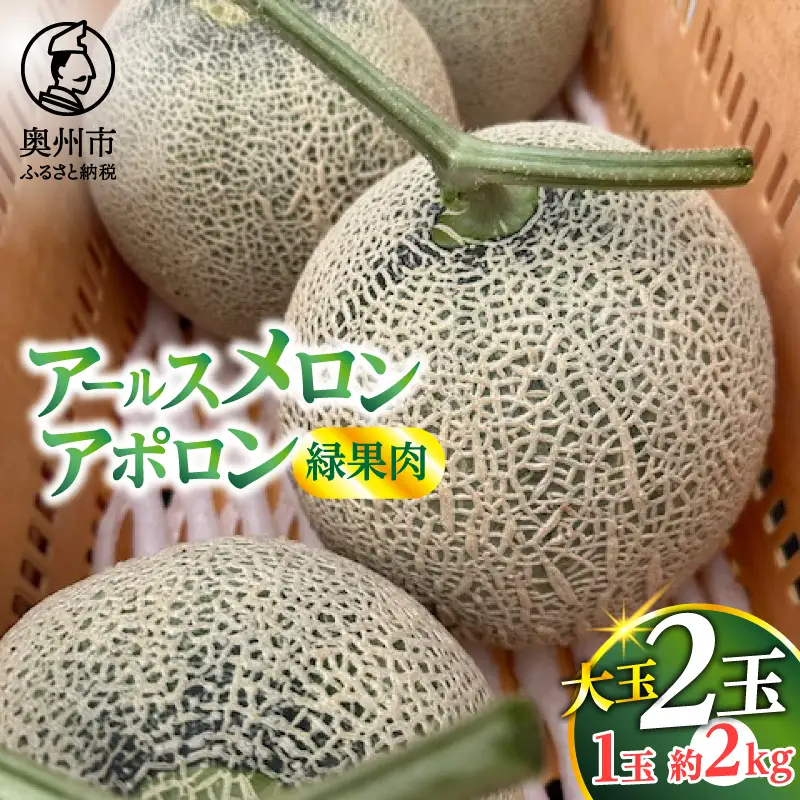 アールスメロン アポロン(緑果肉) 大玉2個 【数量限定】[CL001]