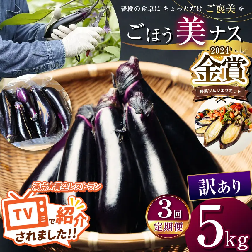 【定期便3回】農家さん応援！訳ありごほう美ナス 約5kg