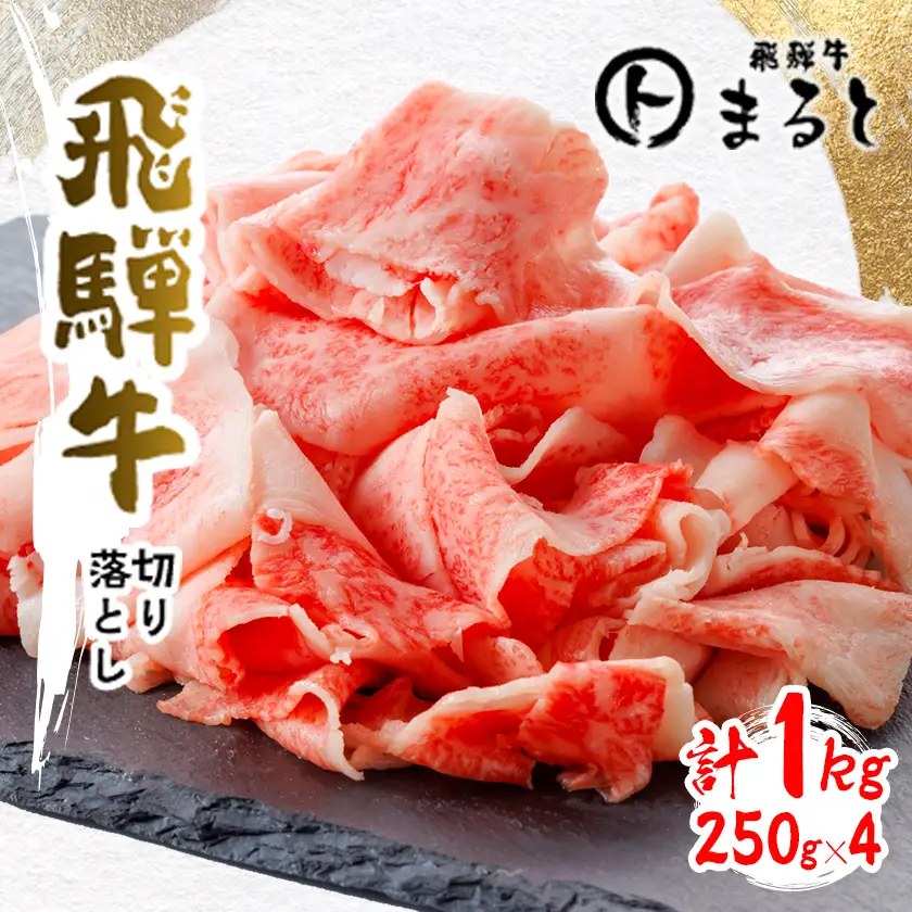 【飛騨牛】切り落とし250g×4　合計1kg【配送不可地域：離島】【1731545】