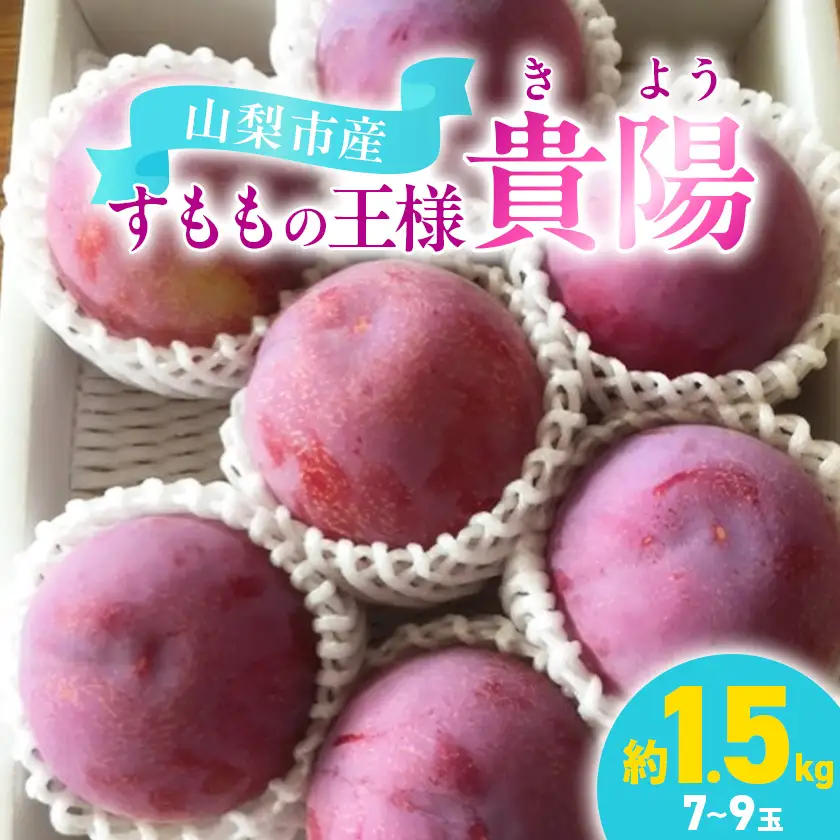 貴陽(すもも)1ケース【約1.5kg　7～9玉】【配送不可地域：離島】【1731286】